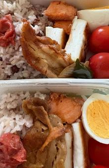お弁当 お弁当 お弁当,ピクニック,弁当の写真素材