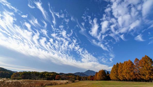 澄み渡る秋の青空 うろこ雲 いわし雲 澄み渡る秋の青空 うろこ雲 いわし雲の写真