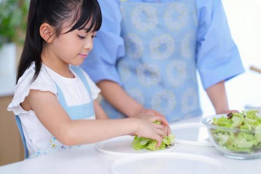 お皿にサラダを盛り付ける女の子 女の子,サニーレタス,レタスの写真素材