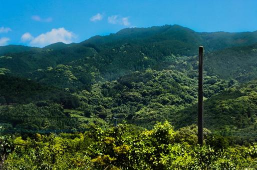 山 山の写真