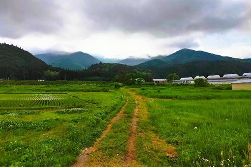 2025年6月の里山39 2025年6月の里山39 里山,水田,田んぼの写真素材