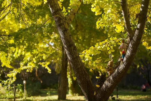 自然の一部 あみぐるみ,森,トナカイの写真素材