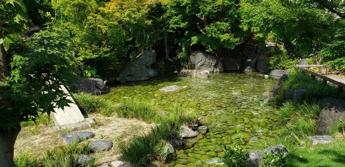 庭園 庭園 富山城,庭園,日本庭園の写真素材
