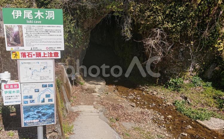 伊尾木洞入口 伊尾木洞,洞窟,自然の写真素材