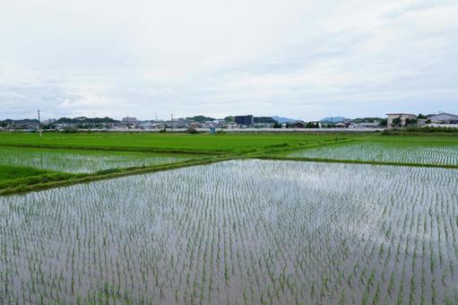 田舎の風景 田舎の風景の写真