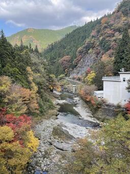 晩秋の田舎 風景,レトロ,ノスタルジーの写真素材