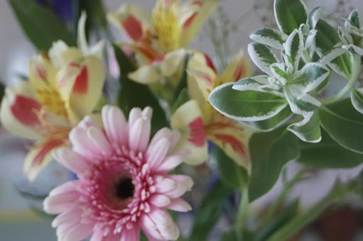Bouquet of gerberas and alstroemeria, JPG Bouquet of gerberas and alstroemeria, JPG