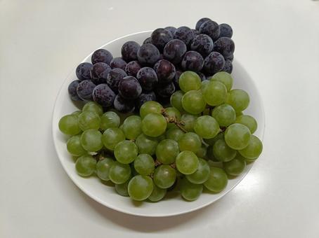 二房のブドウ 二房のブドウ ブドウ,果物,フルーツの写真素材