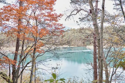 自然 自然 自然,山,登山の写真素材