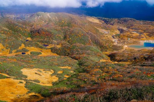 栗駒山 黄金色の山肌と昭和湖 秋田県,栗駒山,栗駒国定公園の写真素材