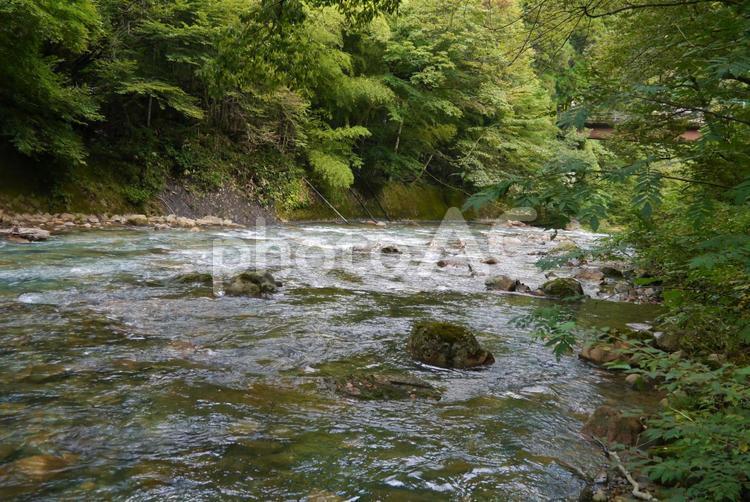 四万川の風景 四万川,四万,自然の写真素材