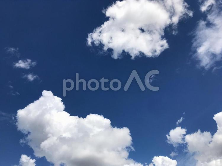 初夏の抜けるような空と白い雲 夏,空,初夏の写真素材
