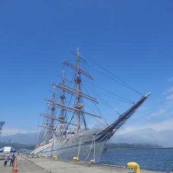 帆船海王丸正面から 帆船,船,靄の写真素材