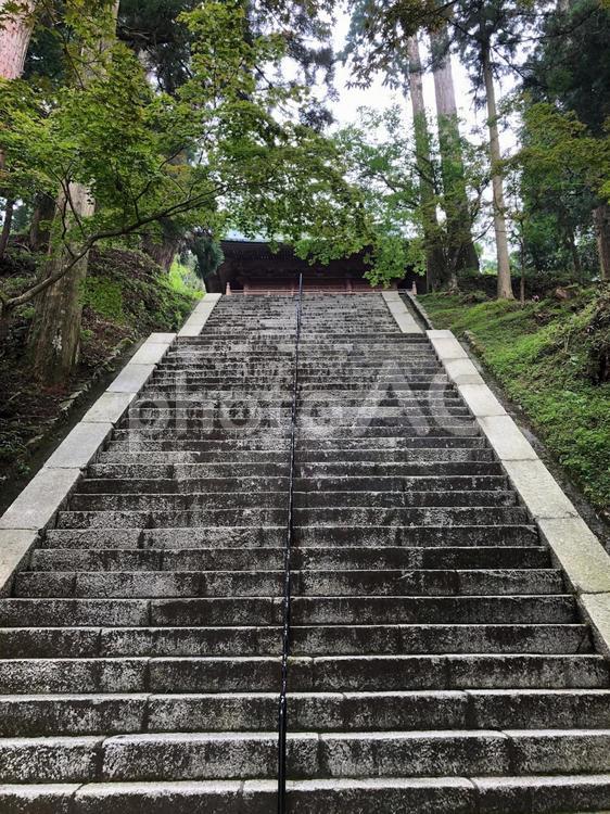 長い階段 階段,鍛える,修行の写真素材