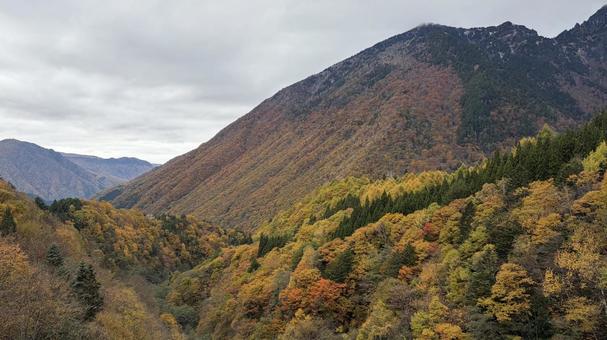 秋を感じる山 紅葉,秋,山の写真素材