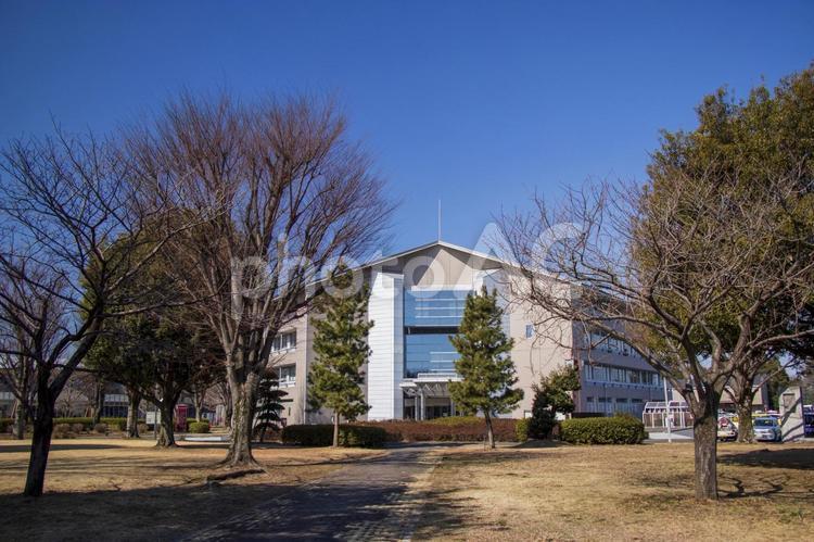 白岡市役所の全景 白岡市役所,市役所,役所の写真素材
