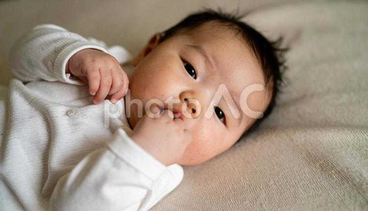 指しゃぶりするカメラ目線の赤ちゃん 赤ちゃん,ベビー,指しゃぶりの写真素材