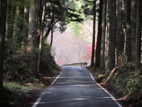 山中の道 山中の道の写真
