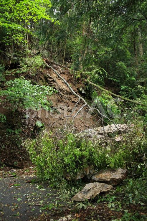 災害：落石と倒木 倒木,落石,土砂崩れの写真素材