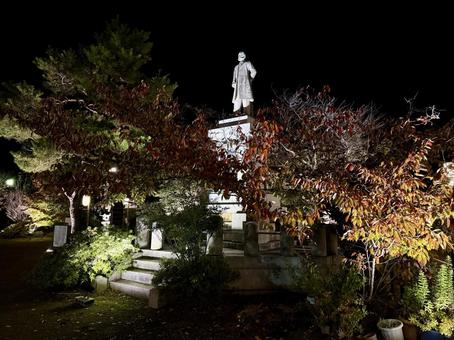 秋　ライトアップされる舟津温泉薬師堂 銅像,自然,舟津温泉薬師の写真素材