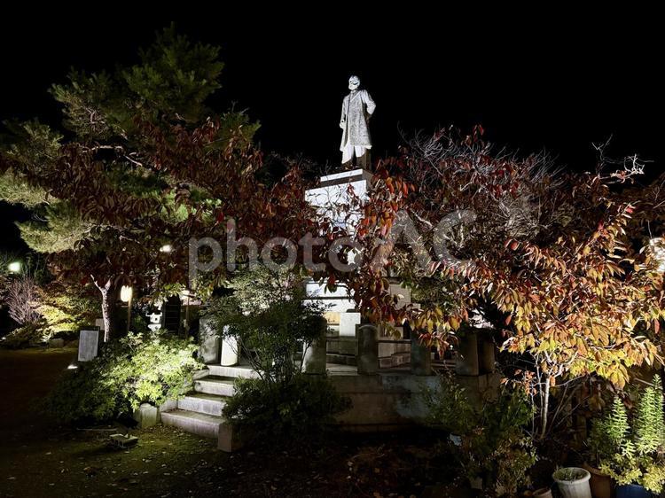 秋　ライトアップされる舟津温泉薬師堂 銅像,自然,舟津温泉薬師の写真素材