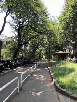 田舎 田舎 風景,町並み,交差点の写真素材