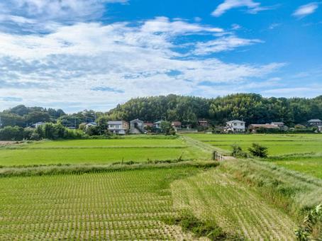 京成線車窓より印旛郡酒々井町の初秋の田園 京成線車窓より印旛郡酒々井町の初秋の田園の写真
