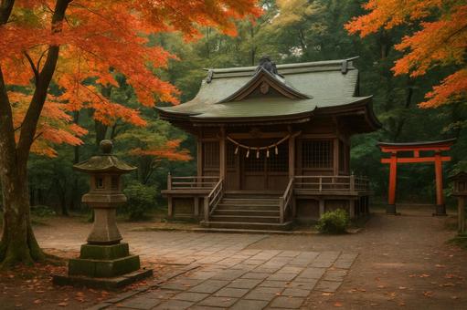 紅葉が始まる神社の境内 紅葉が始まる神社の境内の写真