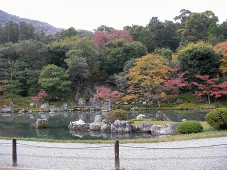 天龍寺 京都 天龍寺 京都の写真