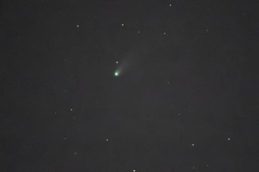 レモン彗星の写真