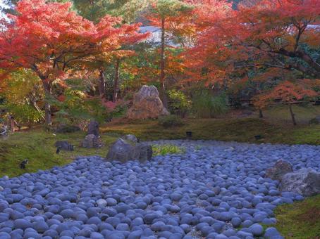 秋の庭園の写真