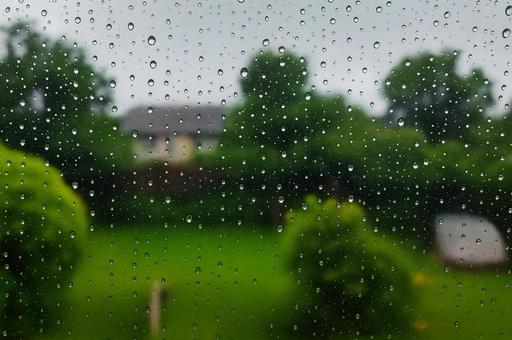 雨の日の窓越しに見る緑の庭 雨の日の窓越しに見る緑の庭の写真