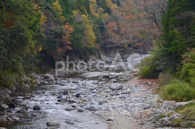 川の流れのように 景色,自然,川の写真素材