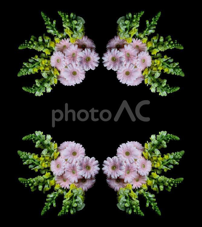 主にピンクと黄緑色の花柄素材 花,ピンク,ガーベラの写真素材