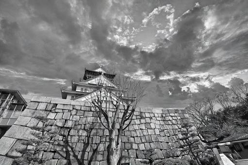 大阪城 大阪城の写真