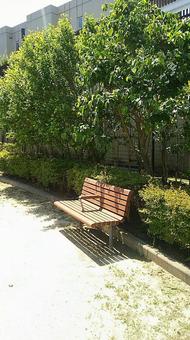 公園のベンチ 公園のベンチの写真