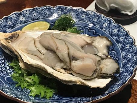 Photo, oyster, izakaya, seafood, 