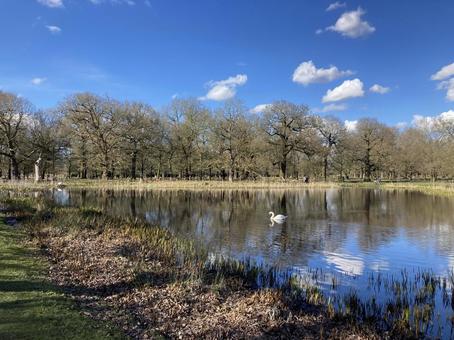 穏やかな日々 穏やかな日々 空,公園,反射の写真素材