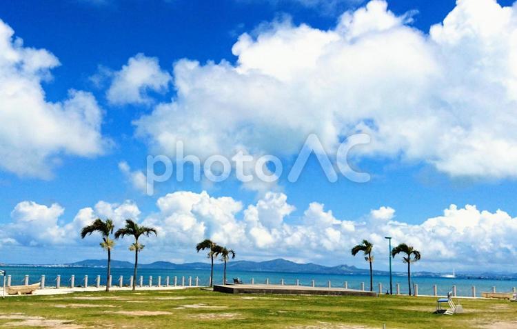 沖縄の夏空と海 夏,熱帯,浜の写真素材