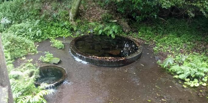 柿田川 湧き間 三島 柿田川 湧き間 三島の写真
