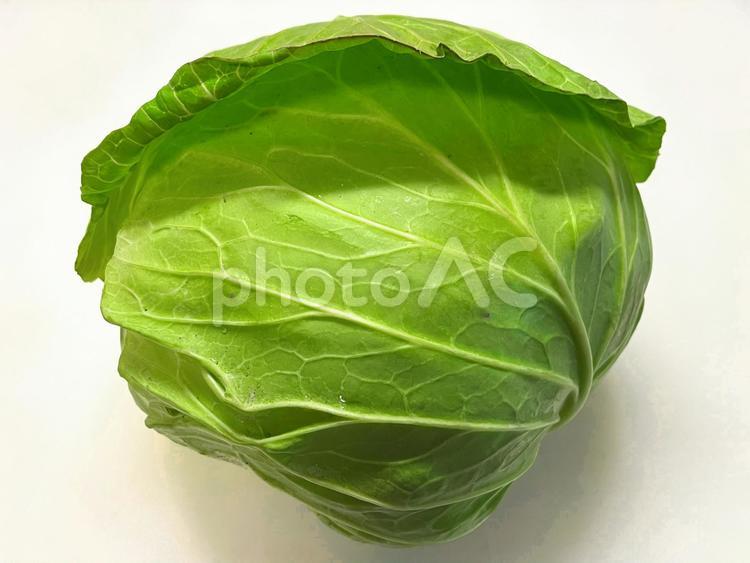 キャベツ一玉（新鮮丸ごと野菜） キャベツ,野菜,食材の写真素材