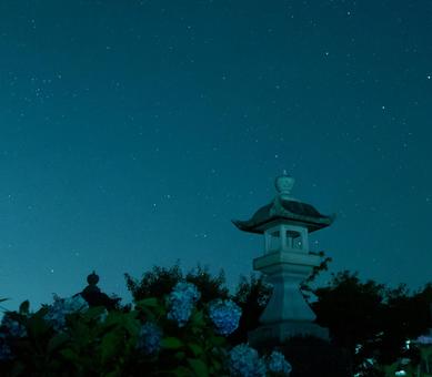 紫陽花と星空 空気,澄んだ,空間の写真素材
