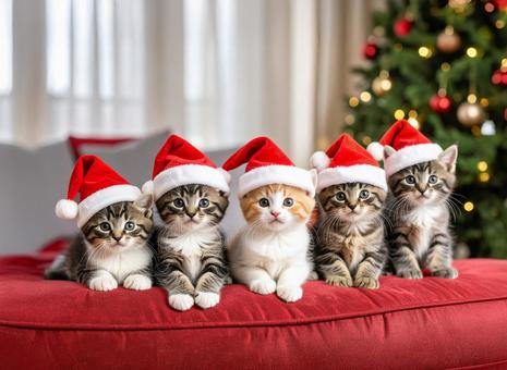 ソファの上にサンタ帽子を被った子猫たち ソファの上にサンタ帽子を被った子猫たちの写真