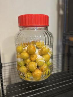 Making pickled plums, JPG Making pickled plums, JPG