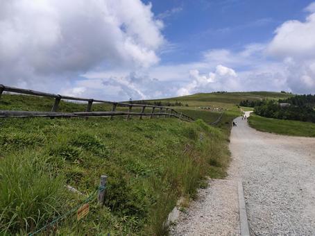 美ヶ原高原 美ヶ原高原 美ヶ原,高原,王ヶ頭の写真素材