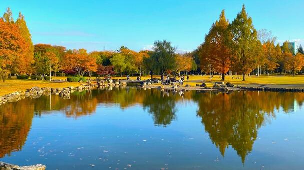 紅葉の北部公園（金沢） 紅葉,秋,公園の写真素材