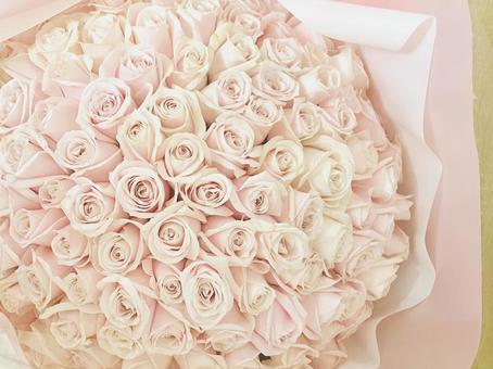 108本のピンクのバラ 108本のピンクのバラ 花束,ブーケ,バラの写真素材