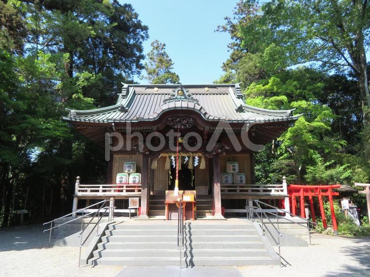 秦野市白笹稲荷神社拝殿 白笹稲荷神社,拝殿,神社の写真素材