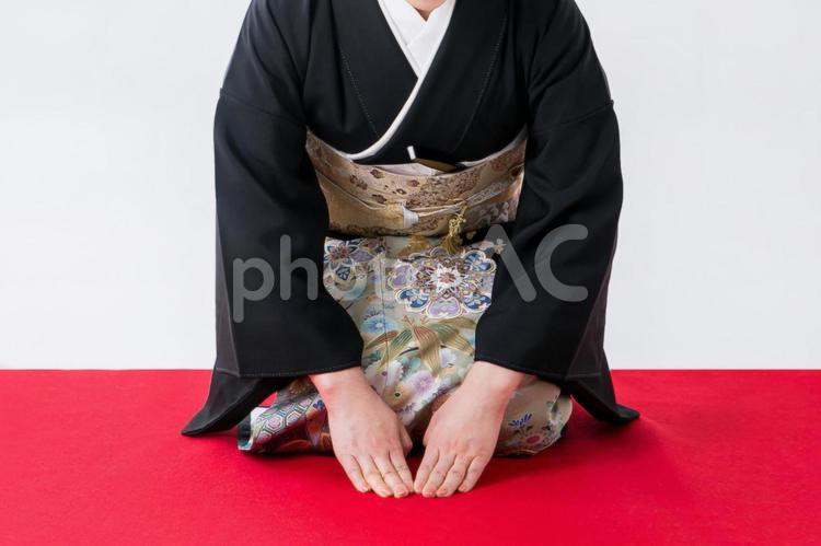 お辞儀する黒留袖の女性 正座,お辞儀,着物の写真素材