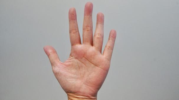 手のひら 手のひらの写真